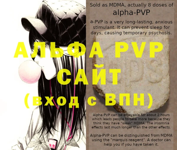 сатива Покачи
