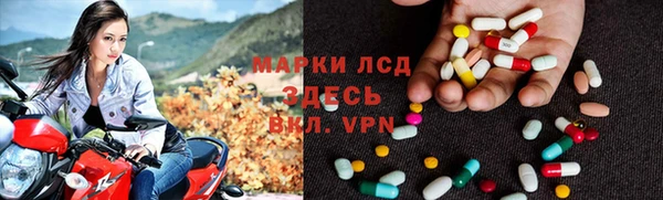 сатива Покачи