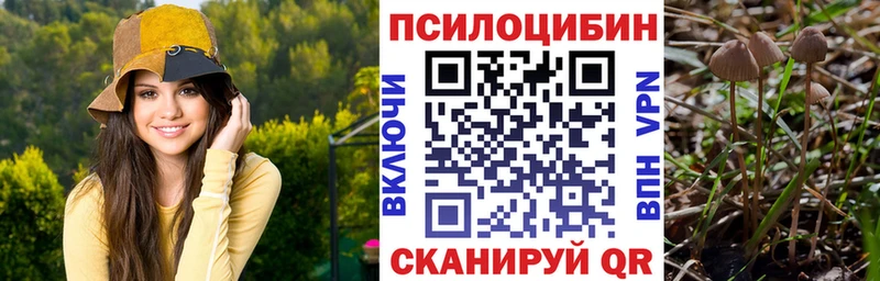 купить  сайты  Бабаево  Псилоцибиновые грибы Magic Shrooms 